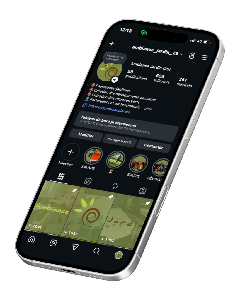 expérience professionnelle en communication chez Ambiance Jardin, interface Instagram du compte