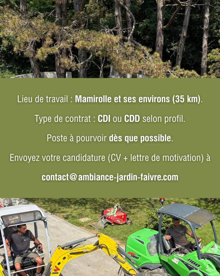 expériences professionnelles en communication chez Ambiance Jardin - visuels de publications