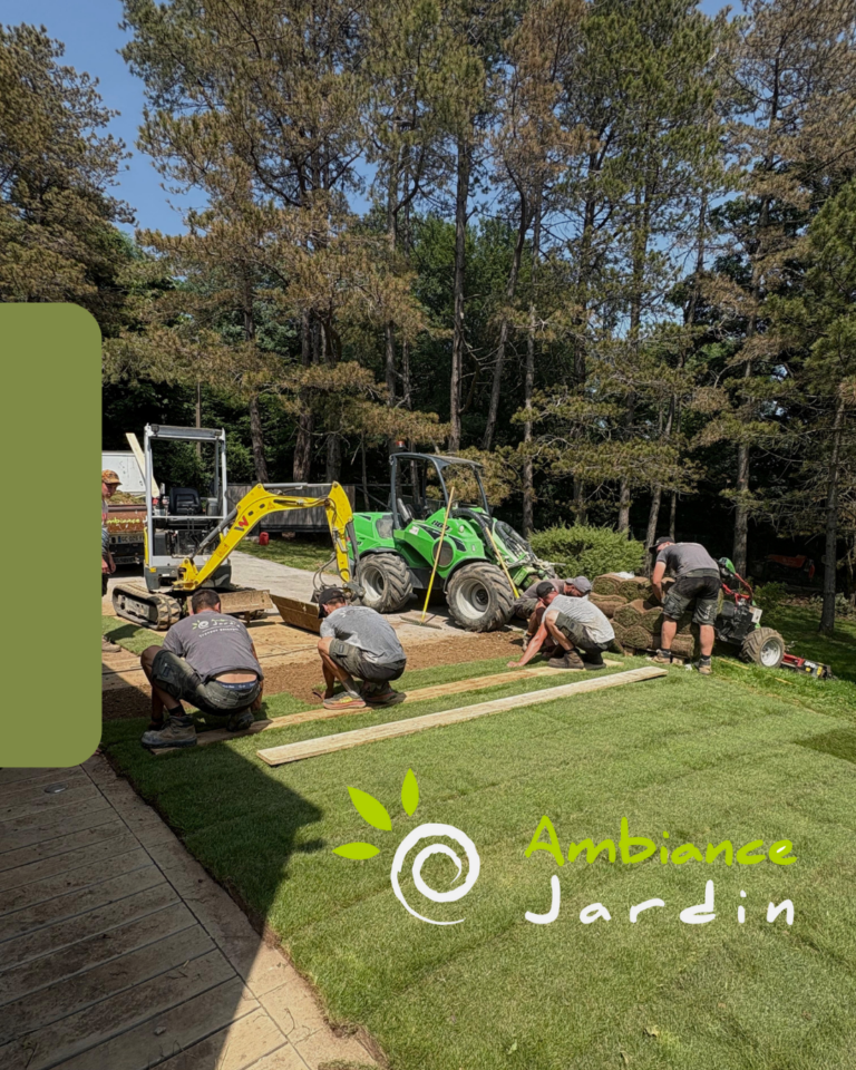 expériences professionnelles en communication chez Ambiance Jardin - visuels de publications