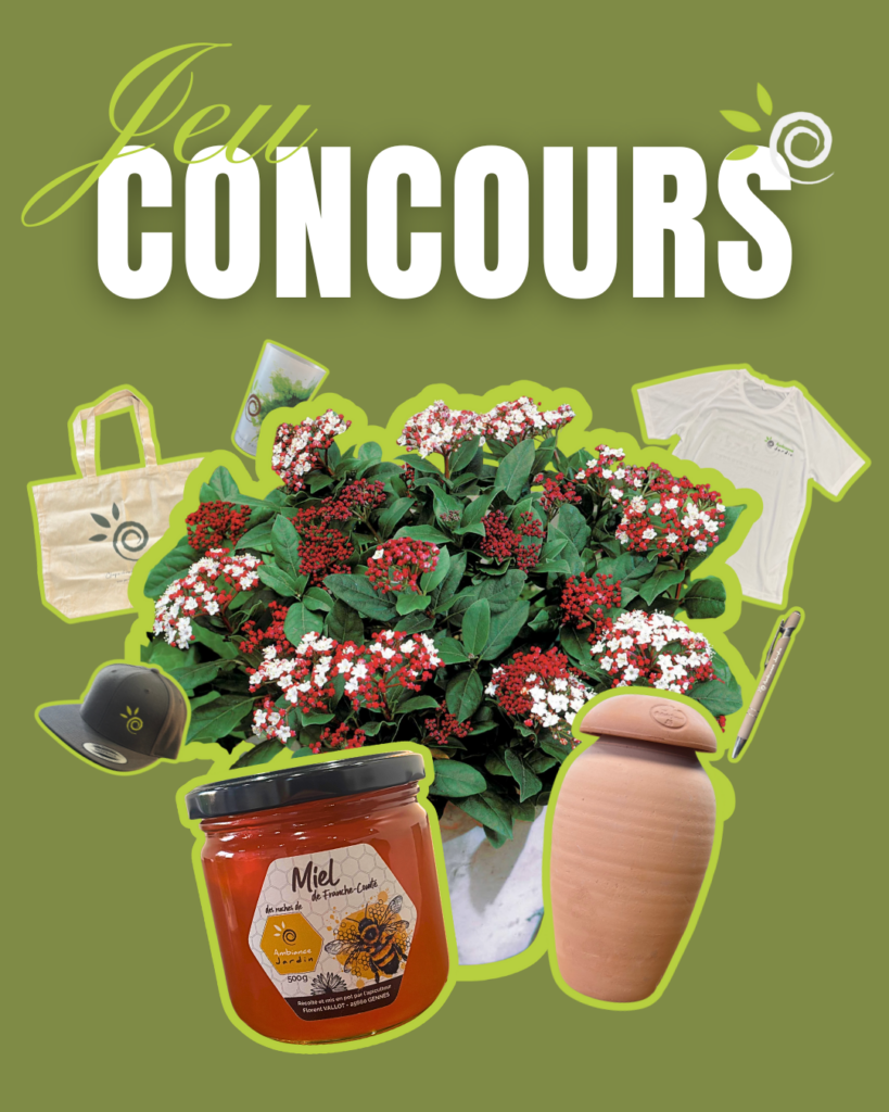 expériences professionnelles en communication chez Ambiance Jardin - visuels de publications