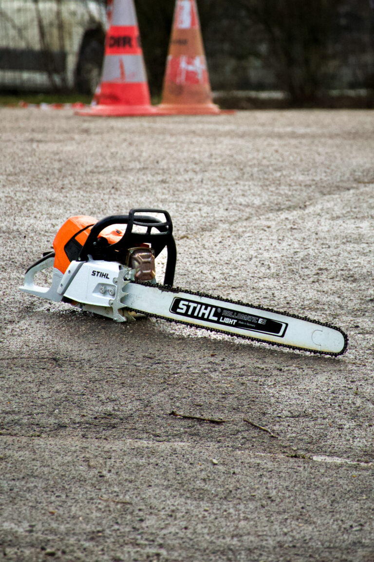 Photos prises dans le cadre mon expérience professionnelle au sein d'Ambiance Jardin
