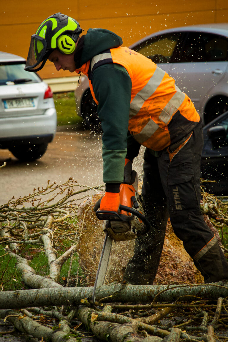 Photos prises dans le cadre mon expérience professionnelle au sein d'Ambiance Jardin