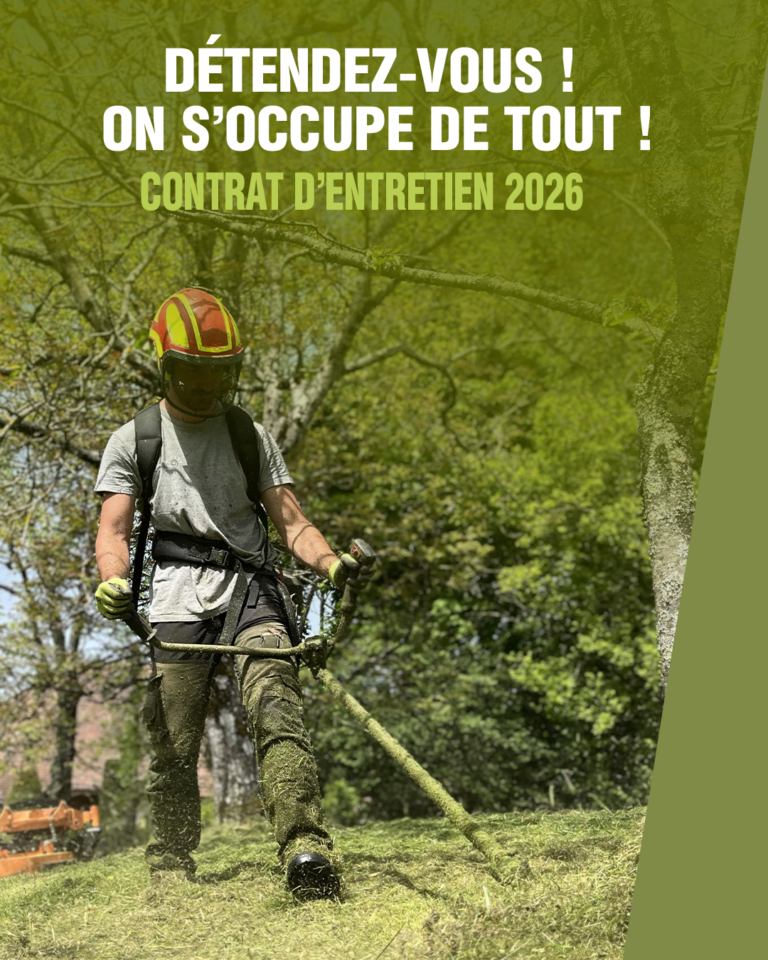 expériences professionnelles en communication chez Ambiance Jardin - visuels de publications