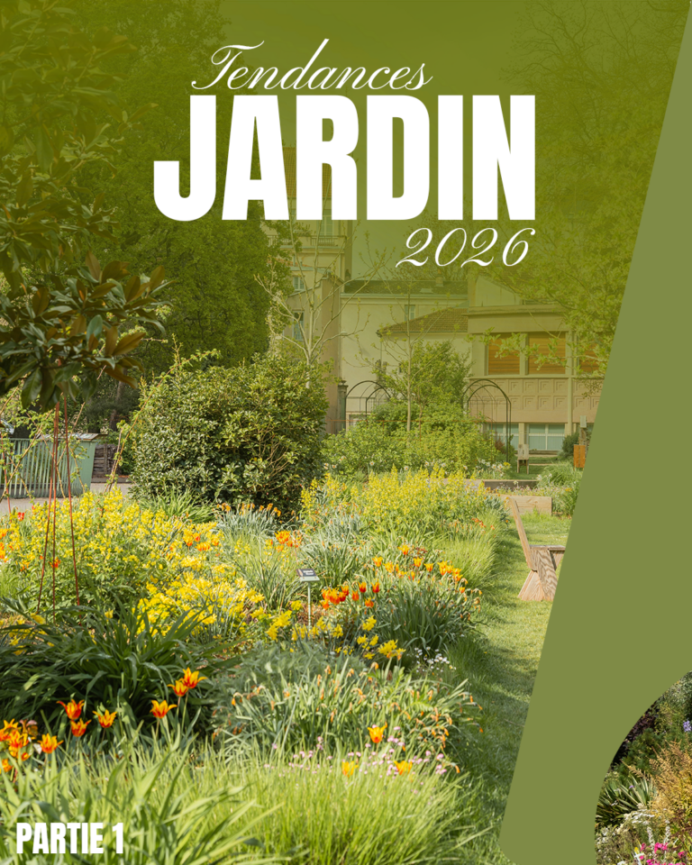 expériences professionnelles en communication chez Ambiance Jardin - visuels de publications