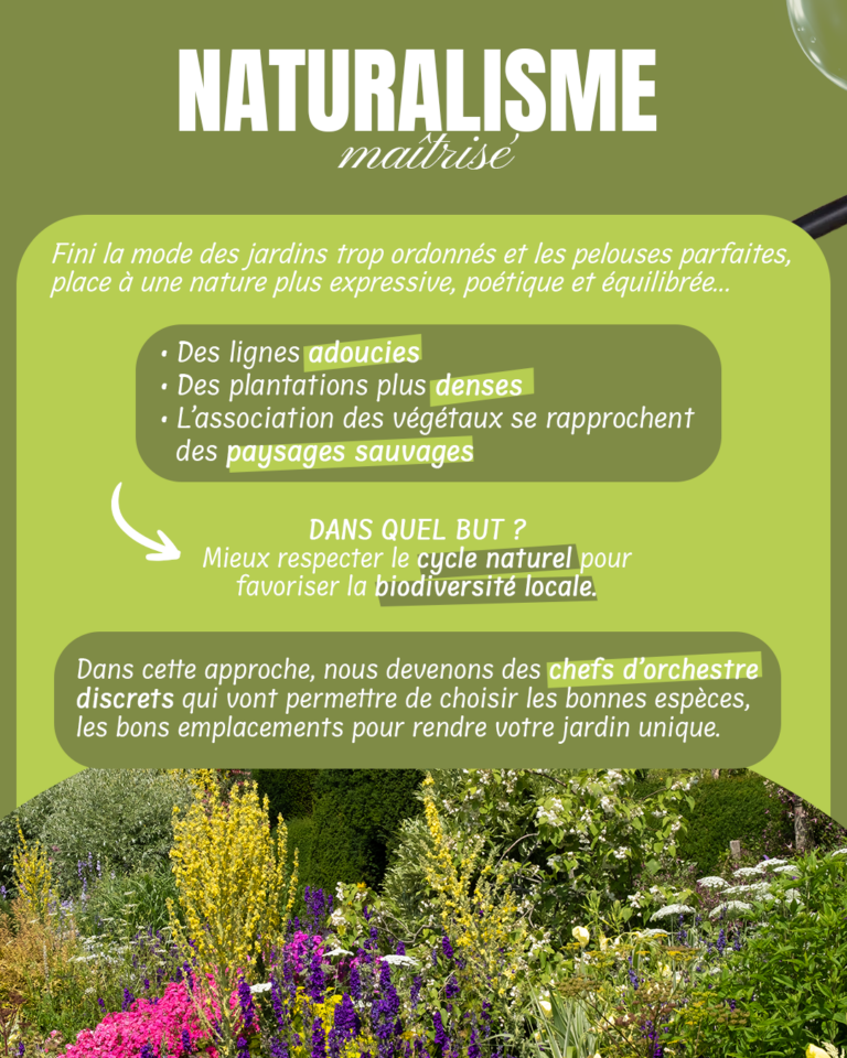 expériences professionnelles en communication chez Ambiance Jardin - visuels de publications