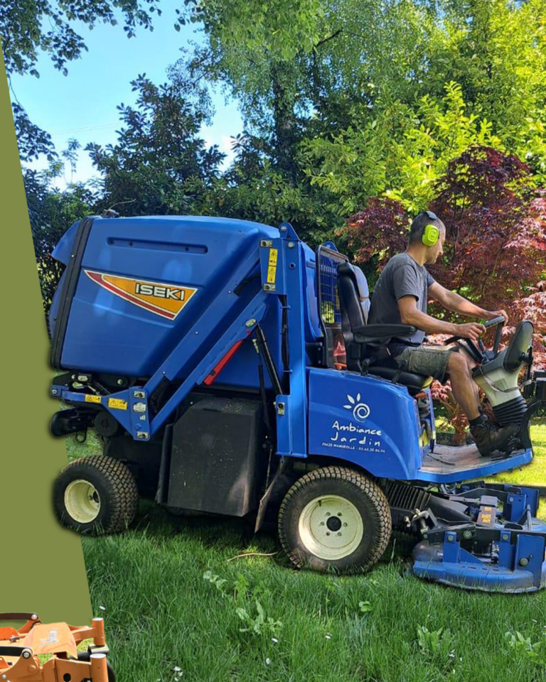 expériences professionnelles en communication chez Ambiance Jardin - visuels de publications