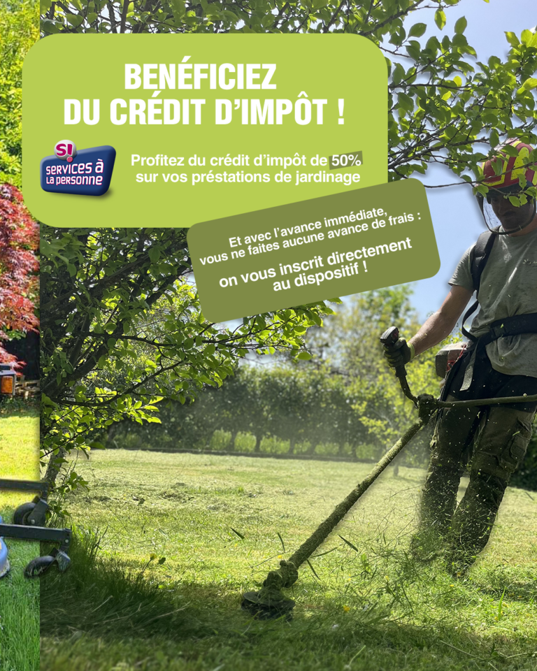 expériences professionnelles en communication chez Ambiance Jardin - visuels de publications