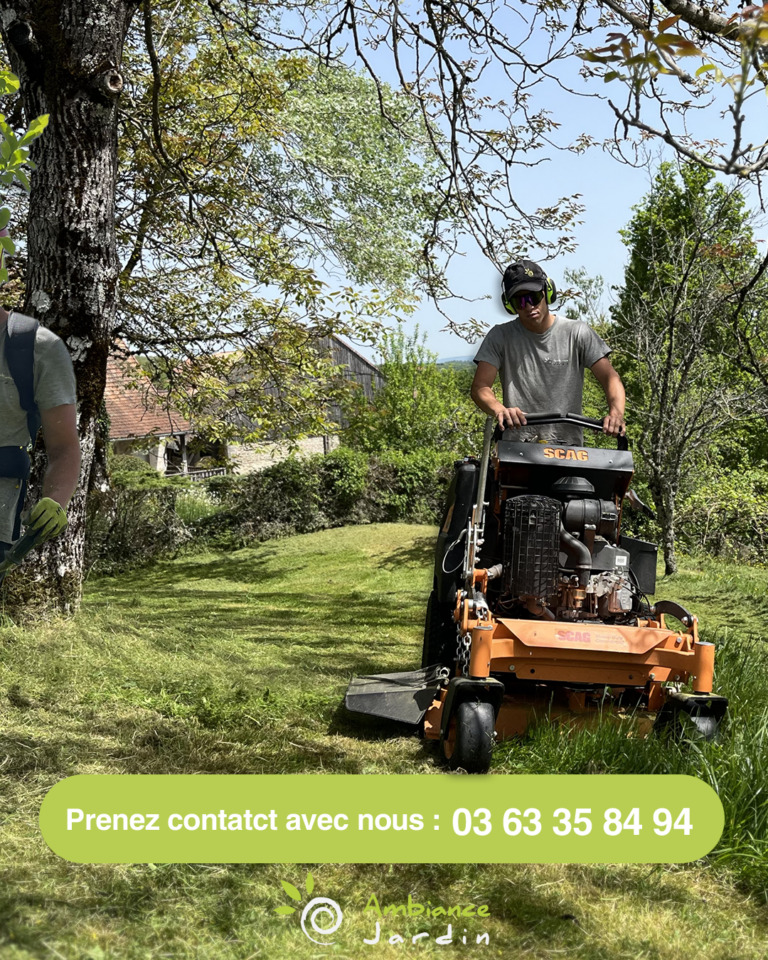 expériences professionnelles en communication chez Ambiance Jardin - visuels de publications